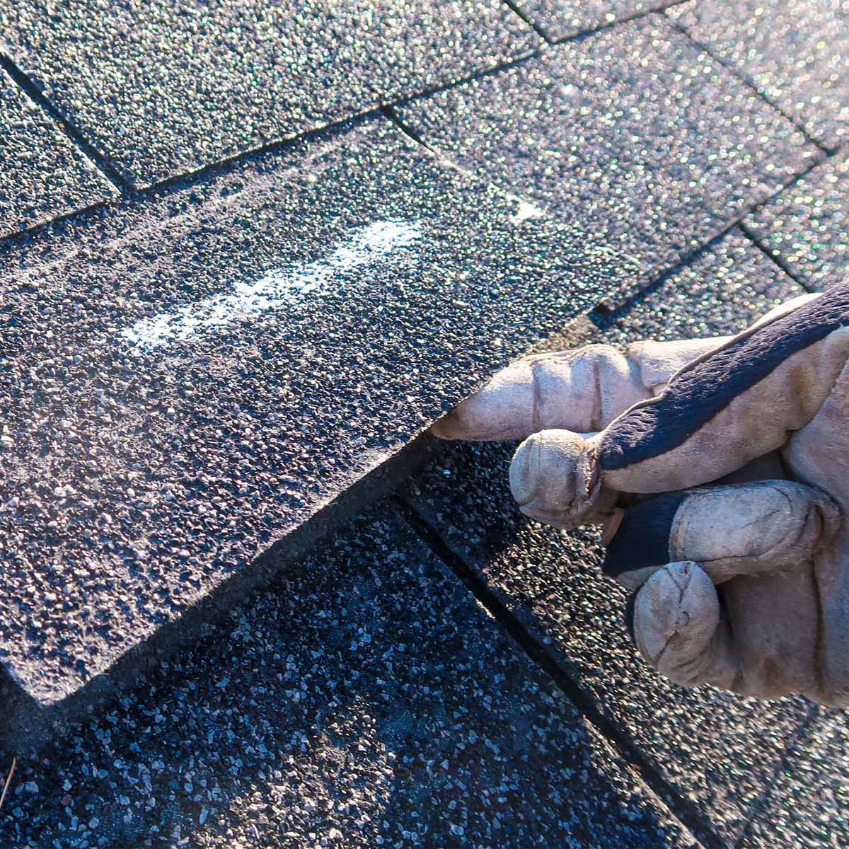 Dakinspectie nijmegen