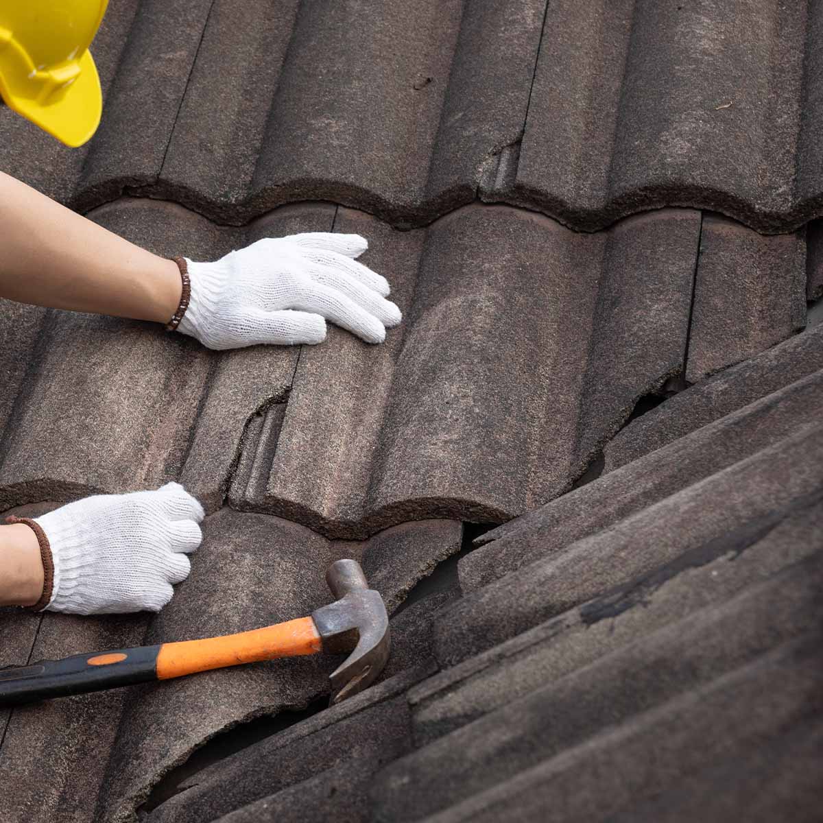 Dakreparatie Nijmegen