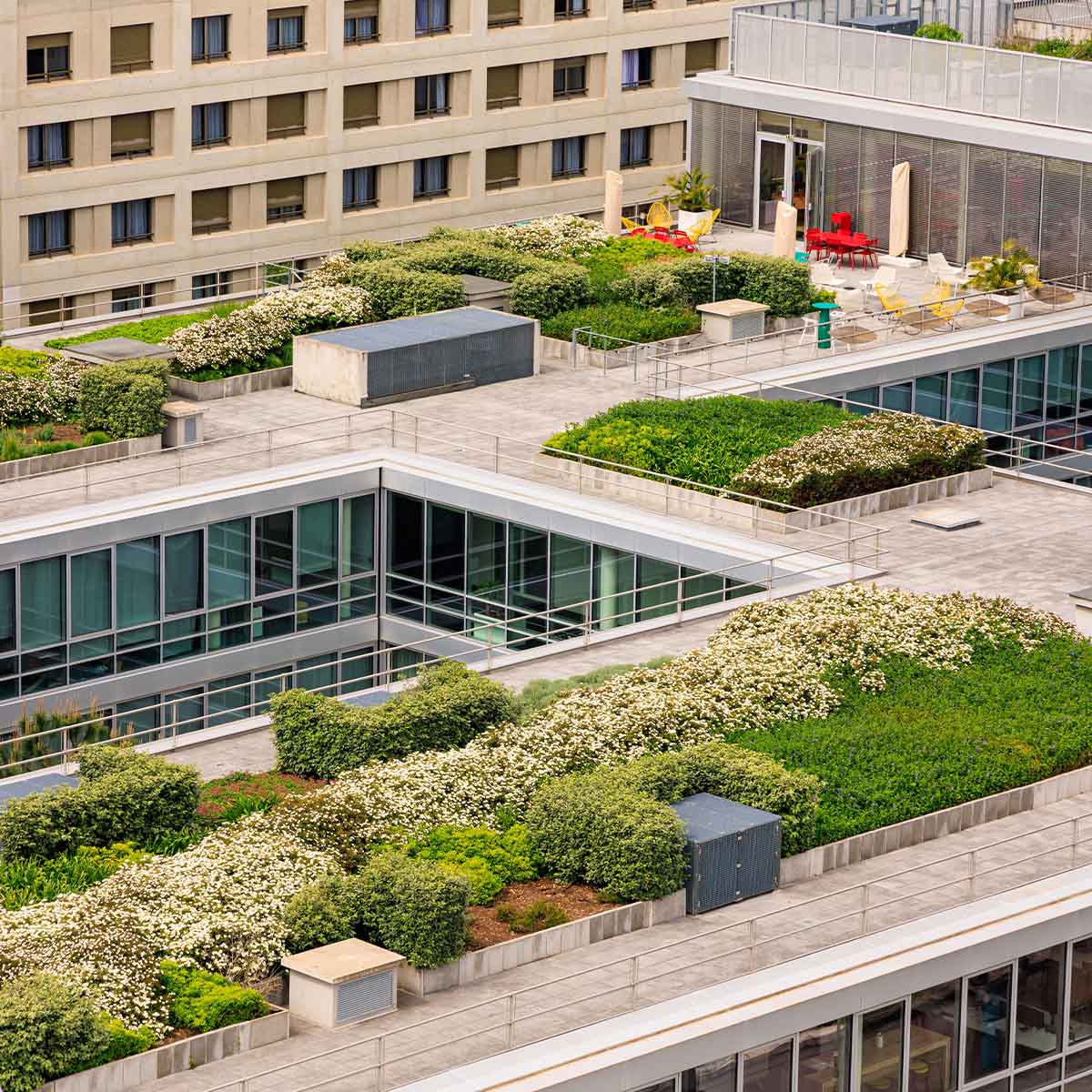 Plat dak isolatie nijmegen groen dak