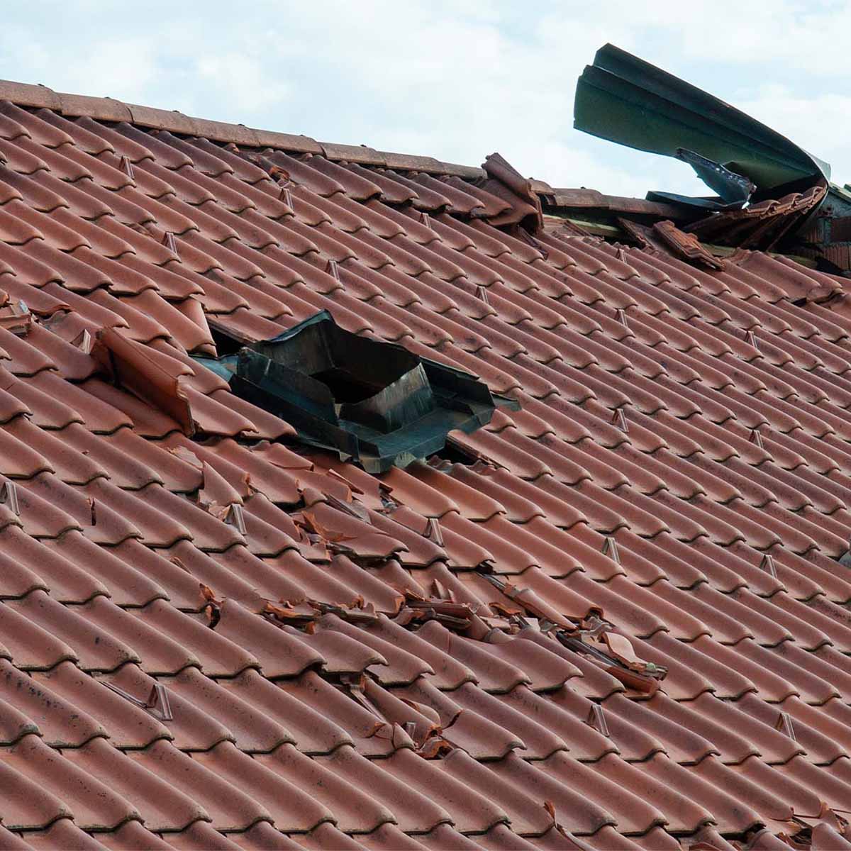 Stormschade nijmegen