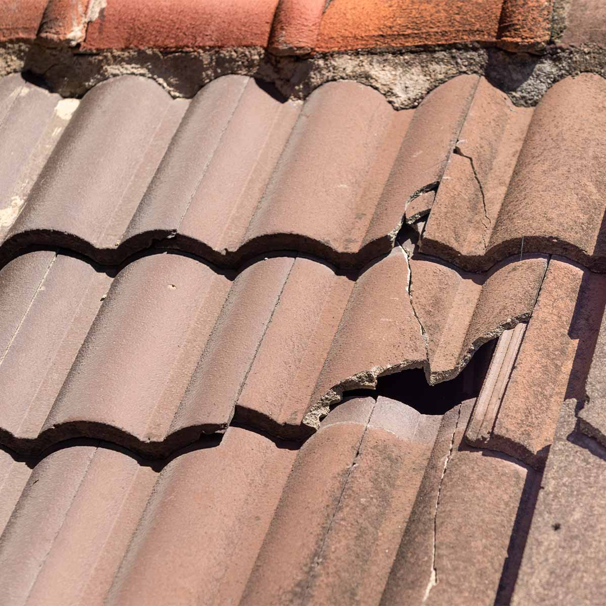 Stormschade nijmegen